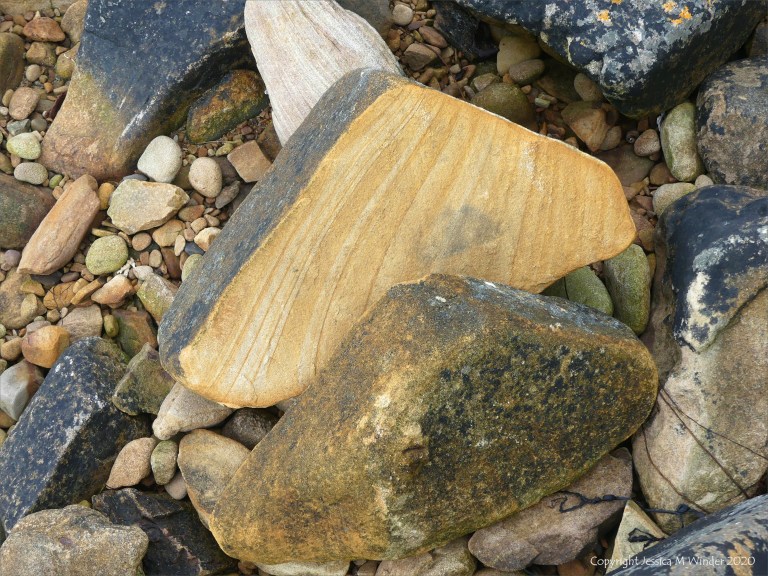 Lichen on seashore rocks