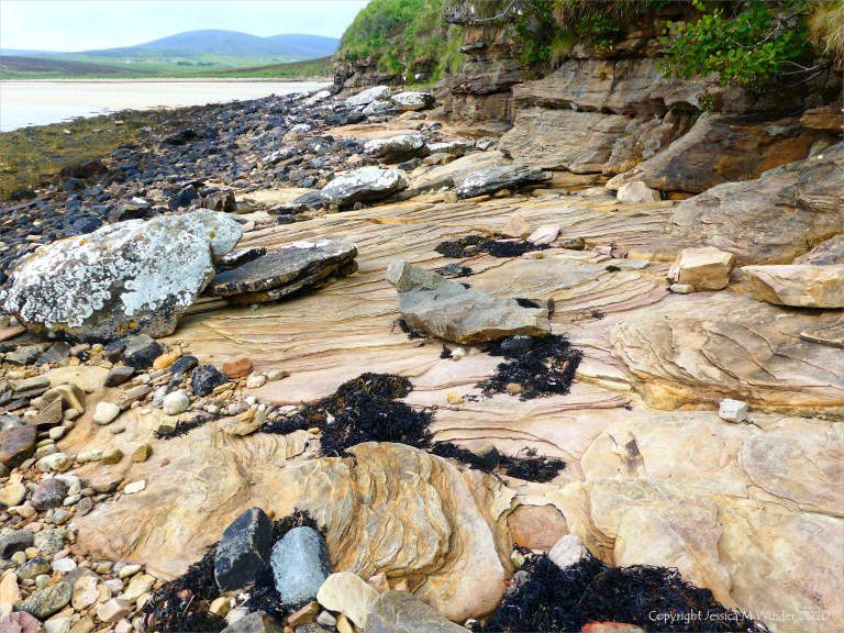 Lichen on seashore rocks