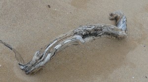 View of Torrisdale Bay in Sutherland