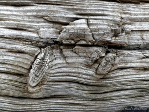 Recycled weathered railway sleeper texture detail