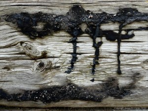 Recycled weathered railway sleeper texture detail