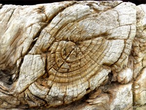Recycled weathered railway sleeper texture detail