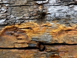 Recycled weathered railway sleeper texture detail