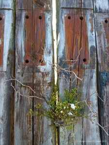 Recycled weathered railway sleeper texture and pattern