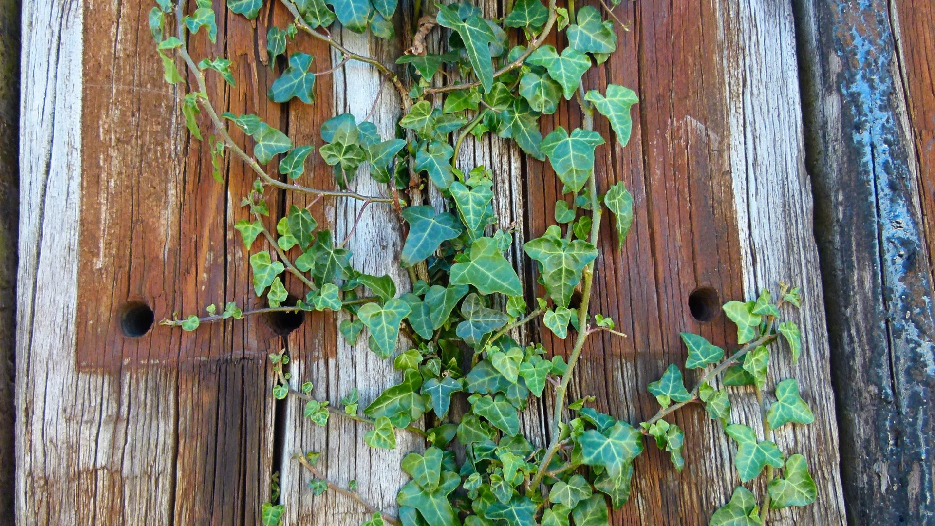 Recycled weathered railway sleeper texture and pattern