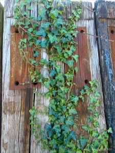 Recycled weathered railway sleeper texture and pattern
