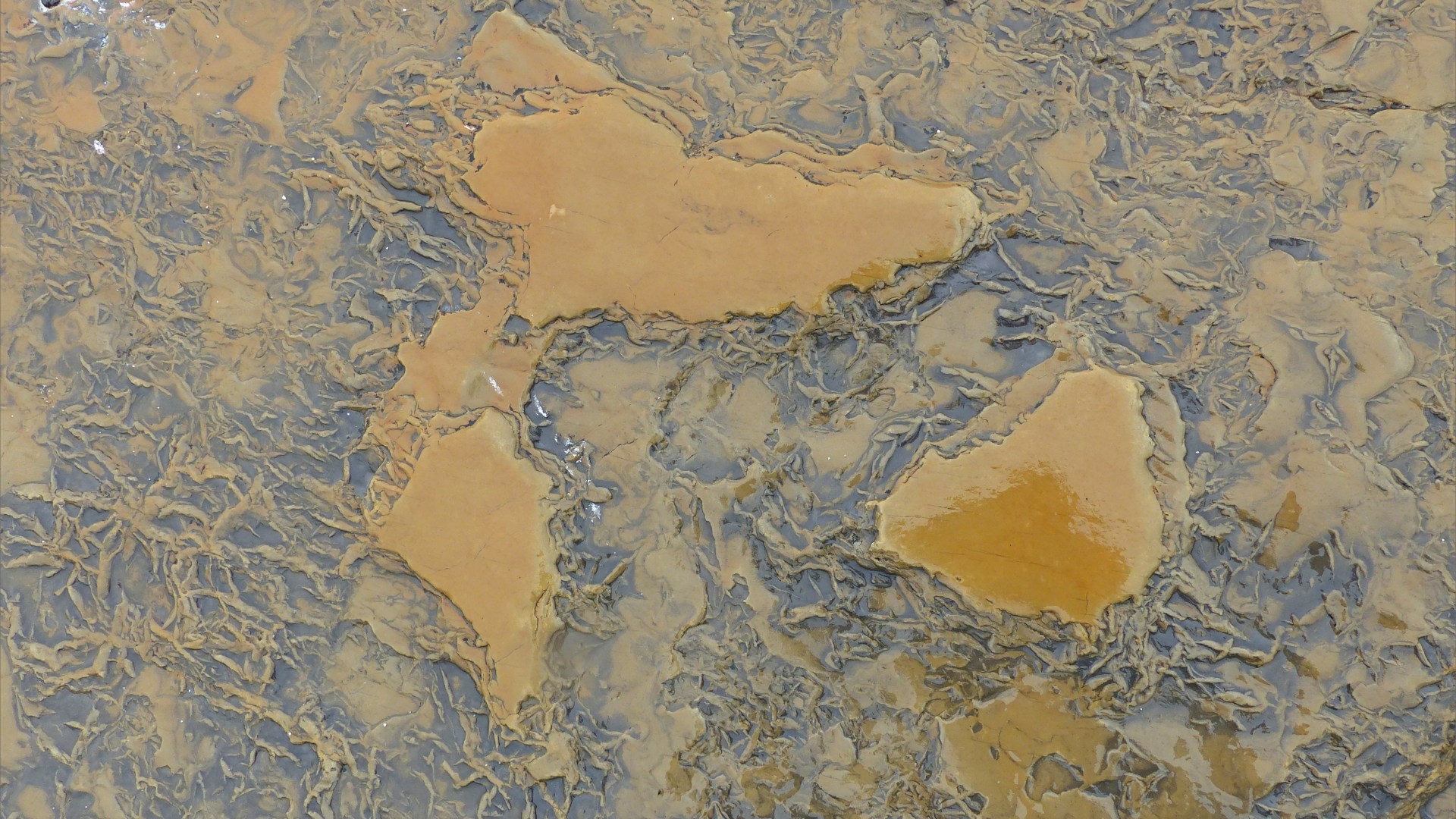 Strange marks on rocks at Birsay Bay