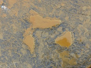 Strange marks on rocks at Birsay Bay