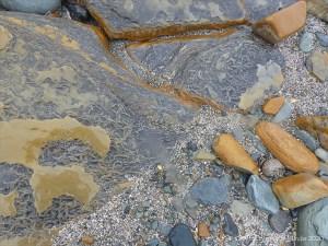 Strange marks on rocks at Birsay Bay