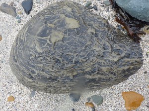 Strange marks on rocks at Birsay Bay