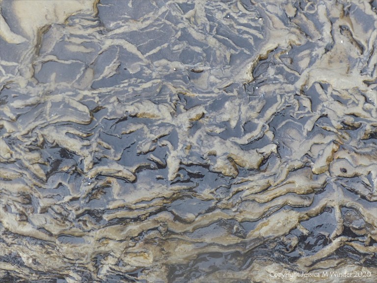Strange marks on rocks at Birsay Bay