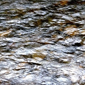 Fast water flowing in the Afon Llwyd