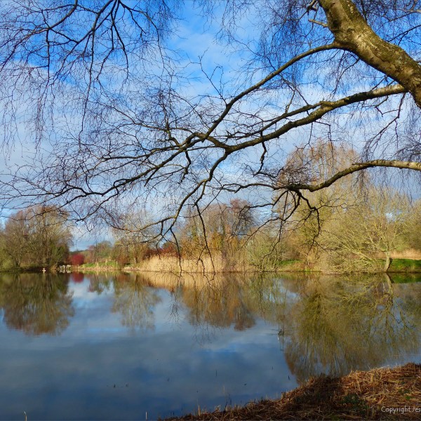 Winter lakeside reflections