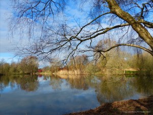 Winter lakeside reflections