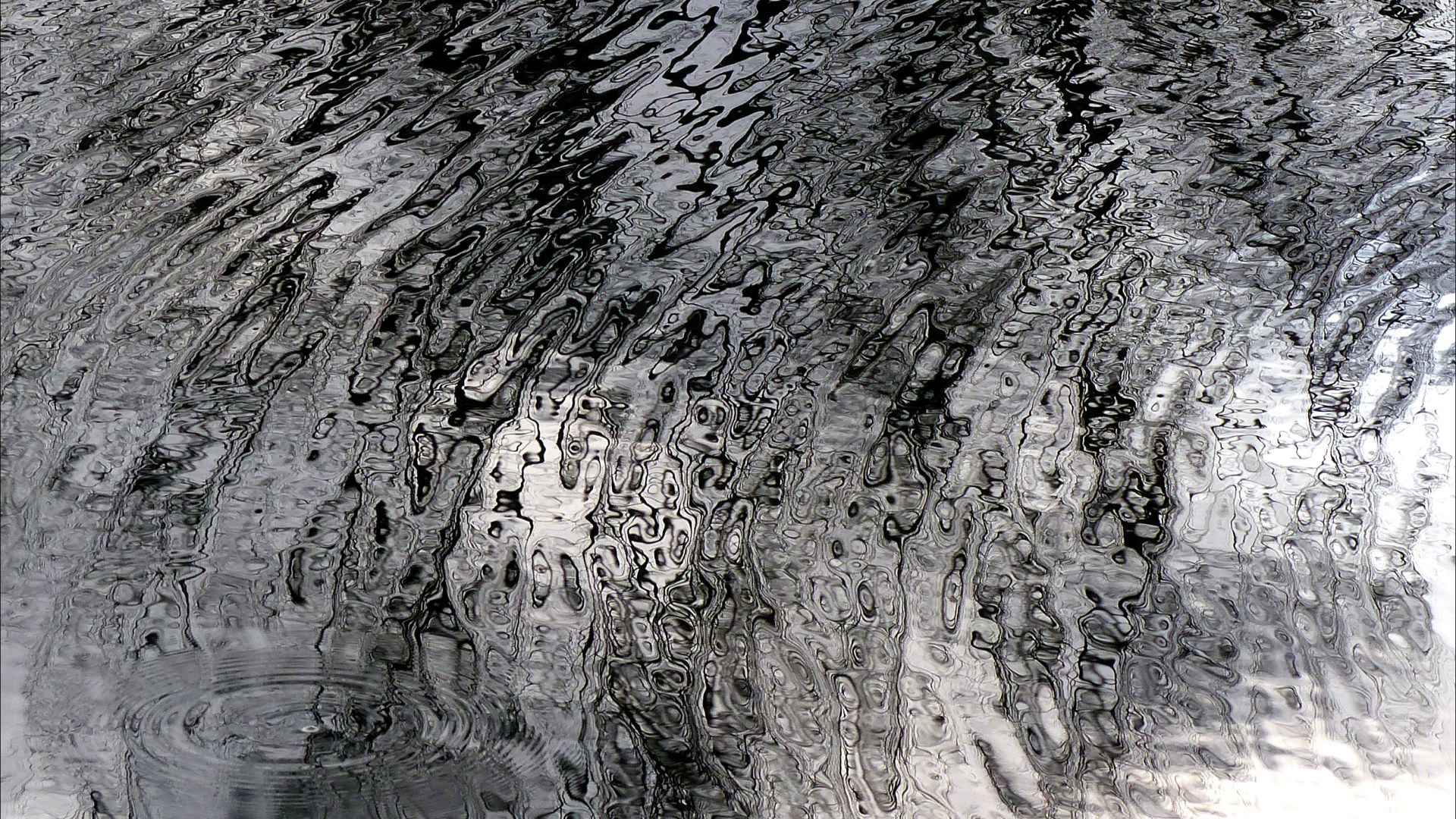 Reflections of bare branches on water