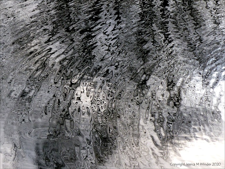 Reflections of bare branches on water
