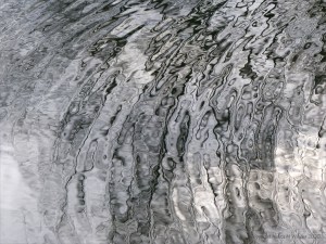 Reflections of bare branches on water