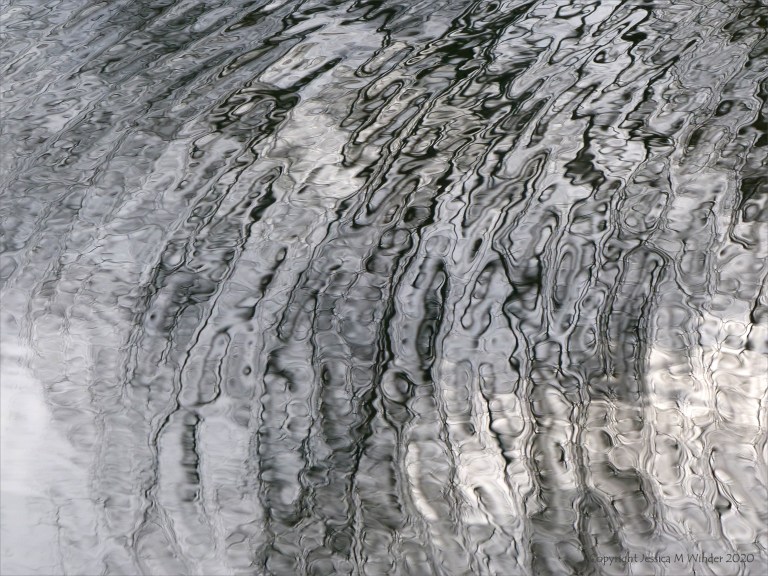 Reflections of bare branches on water