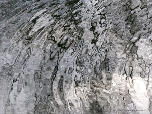 Reflections of bare branches on water