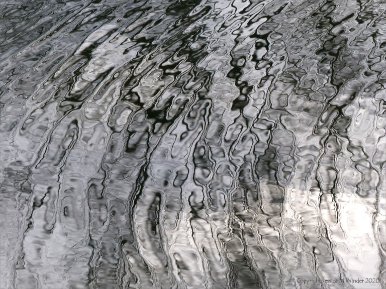Reflections of bare branches on water