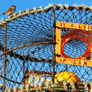 Fishing gear stacked on the quayside