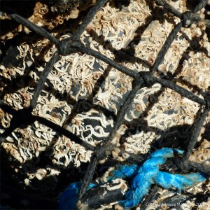 Fishing gear stacked on the quayside