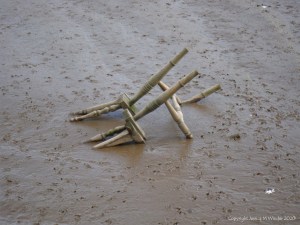 Soft mud on a tidal river bank