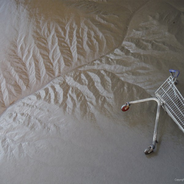 Soft mud on a tidal river bank