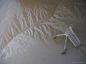 Soft mud on a tidal river bank
