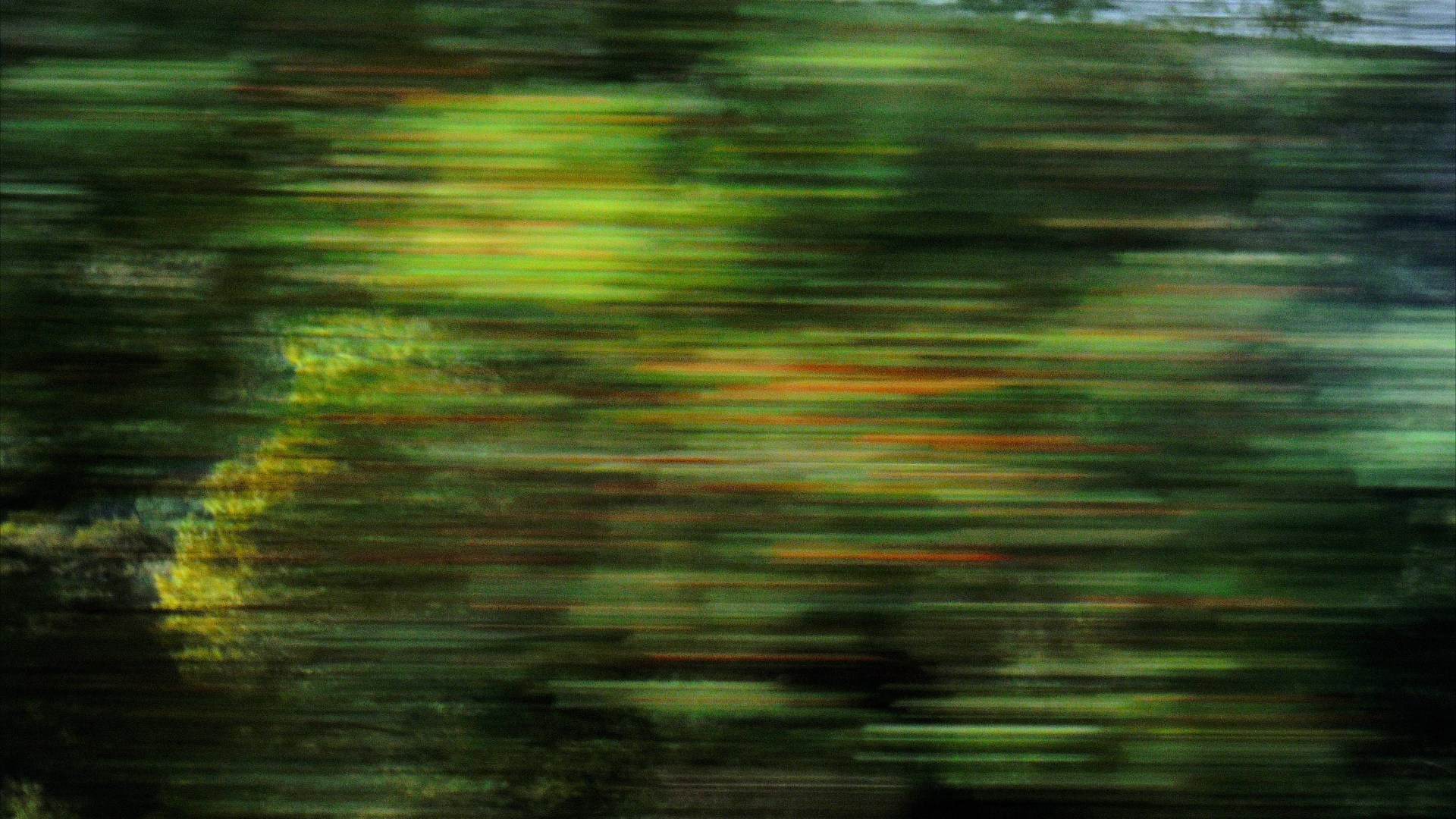 Rural view from a moving train