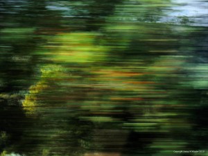 Rural view from a moving train