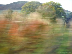 Rural view from a moving train