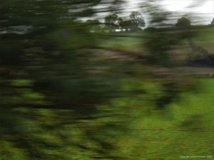 Rural view from a moving train