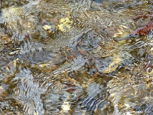 Close-up of pattern and texture in a fast flowing shallow river