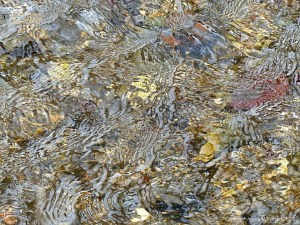 Close-up of pattern and texture in a fast flowing shallow river