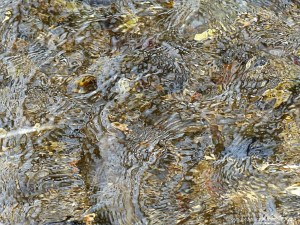 Close-up of pattern and texture in a fast flowing shallow river