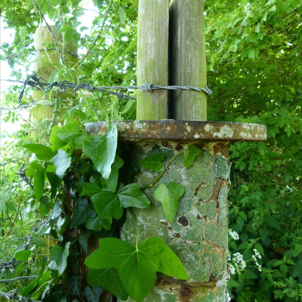 Cracked paint and rusty metal on an old gate post