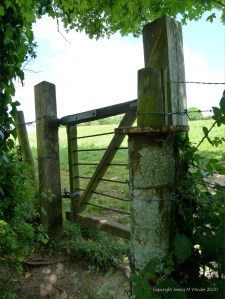 Cracked paint and rusty metal on an old gate post