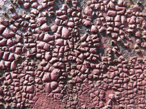 Weathered paintwork on iron