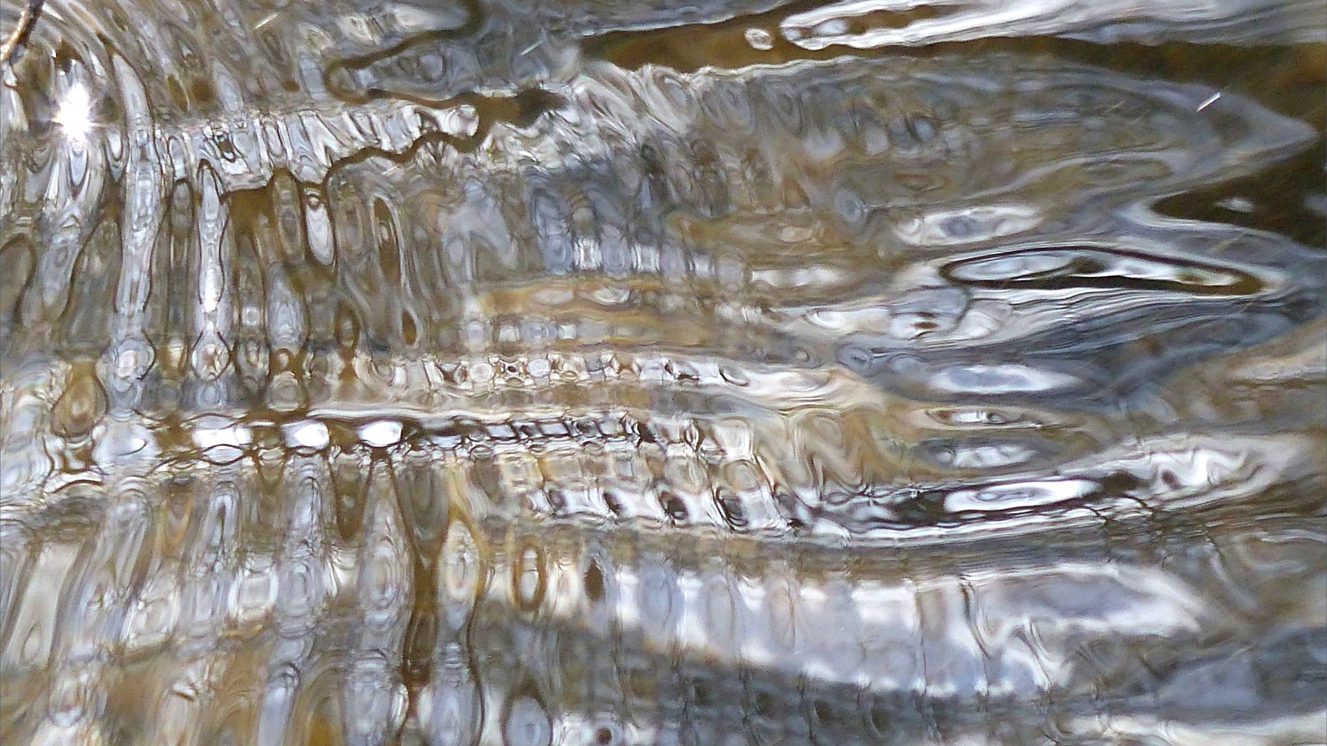 Abstract natural patterns on water