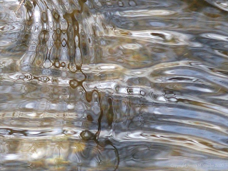 Abstract natural patterns on water