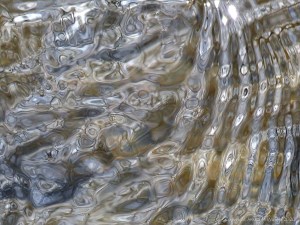Abstract natural patterns on water
