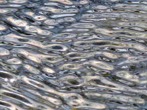 Abstract natural patterns on water