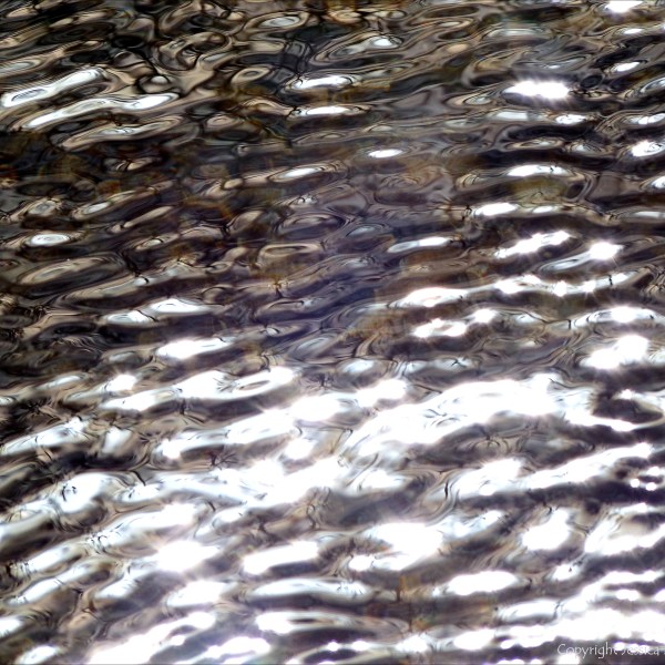 Abstract natural patterns on water