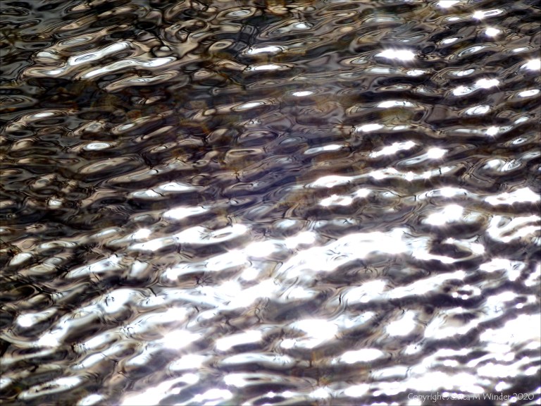 Abstract natural patterns on water