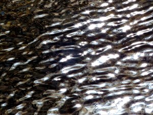 Abstract natural patterns on water