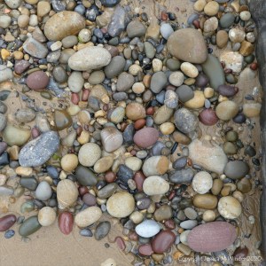 Smooth coloured pebbles at Caswell Bay