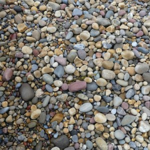 Smooth coloured pebbles at Caswell Bay