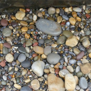 Smooth coloured pebbles at Caswell Bay