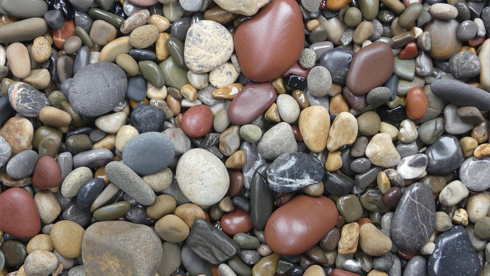 Smooth coloured pebbles at Caswell Bay